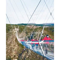 阿羅卡鎮居民率先試行吊橋。
