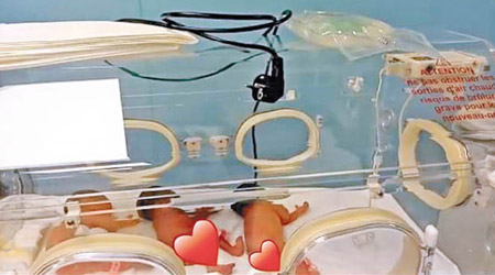 馬里政府的新聞稿中，附有部分嬰兒在氧氣箱的相片。