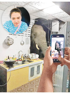 大象突然來襲更撞穿牆壁，叻差達萬（圓圖）以手機拍攝驚險情況。