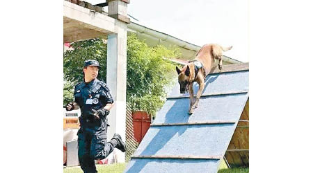 警犬在學院接受訓練。