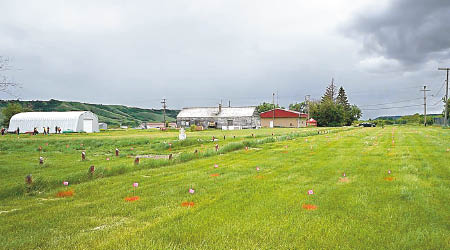 加拿大再有學校遺址發現原住民童骸。