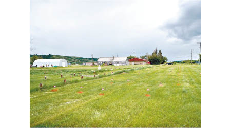 加拿大原住民寄宿學校遺址發現多具遺骸。