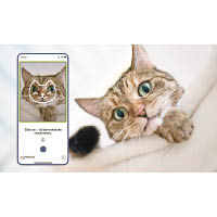 該手機程式據稱可分析貓咪身體狀況。