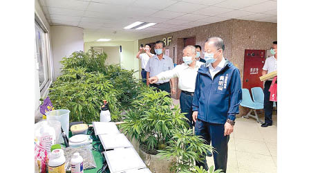 警方扣查一批大麻及種子。