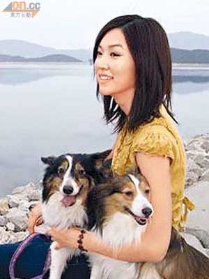 自細迷上神犬拉茜的翠翠養了博Ｂ（左）及Chika。