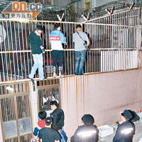 栢芝夫婦出動，即引來大批記者爬上欄杆找有利位置拍照，更有警員到場了解。