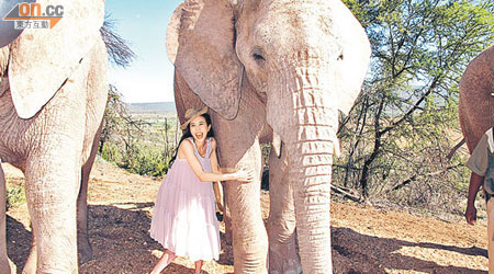莫文蔚跟大象作零距離接觸，更開心地攬着象腿拍照。