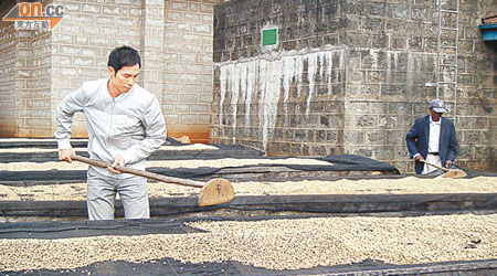 陳豪曾在《品味咖啡》中，到不同國家品嘗咖啡，還親自參與咖啡的整個製作過程。