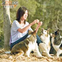 葉翠翠每逢放假都會親自帶三隻狗行山。