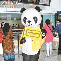 有歌迷扮熊貓惹偶像注意。