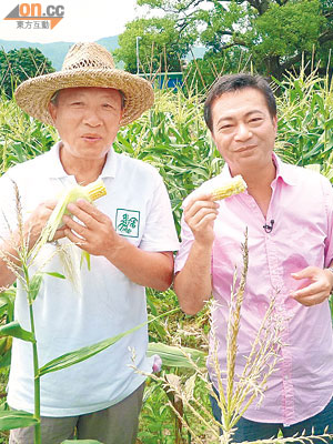廖偉雄（右）落農場拍攝節目即食新鮮粟米。