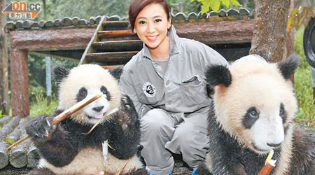 翁虹計劃邀請好友探訪熊貓，培養孩子德行。