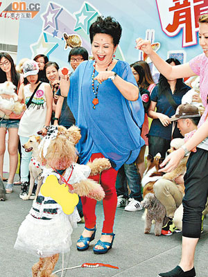 薛家燕昨在台上指揮小狗表演。