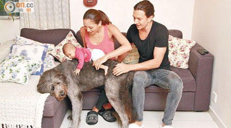 Cara與Jesper的愛犬樂於與小主人相處。