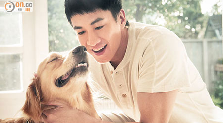 何潤東新片招待百對家養寵物的情侶入場睇戲。