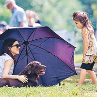 安妮和愛犬在草地上曬太陽，更吸引小妹妹上前玩狗。（東方IC圖片）