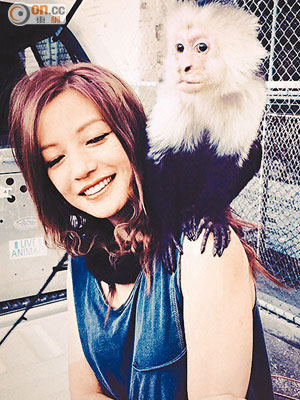 趙薇突然上載與曉明拍戲把玩猴子的「情侶」照，惹來網民質疑。