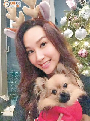 徐子珊指今年聖誕獲愛犬相伴。