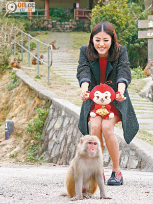 Rose上馬騮山催運，更搞笑地拿着猴女引眼前的猴子。