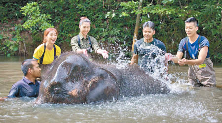 胡定欣（中）與姚子羚落水為小象沖涼，是難得的體驗！