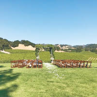 婚禮在葡萄園的草原上舉行，充滿大自然氣息。