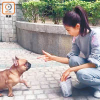 楊秀惠訓練狗狗中槍瞓地扮死，認真搞笑。