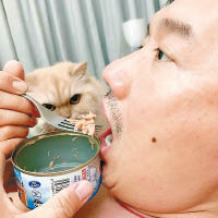 杜汶澤食罐頭，愛貓望到實。