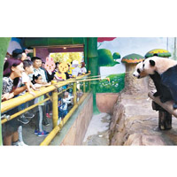 有得睇大熊貓，大人細路都開心。