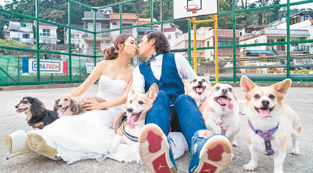 阿感與老婆帶多隻愛犬一齊影婚照。