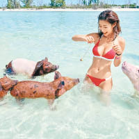 陳婉衡在水中與四隻小豬玩個不亦樂乎。