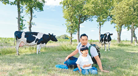 兩父子於荷蘭親親牛牛。