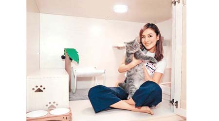 江若琳開設的貓酒店因疫情生意大跌。
