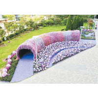 紫藤隧道長20米，巧妙地設計成月牙形，營造出360度無死角的連綿不斷花路效果，非常迷人。
