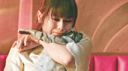 Gin Lee抱着貓貓拍MV，情緒大上大落。