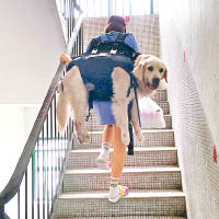 還未搬離唐樓的李旻芳孭住愛犬上落樓梯。