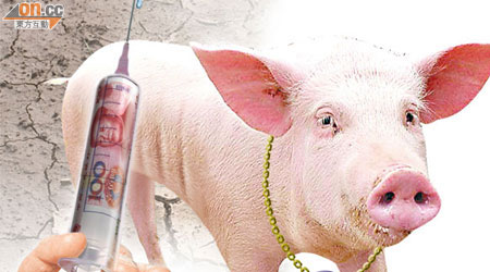 人幣救援<br>EFSF出動人債集資，吸引中國注資救歐豬。