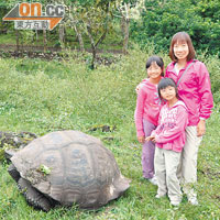 阿Fan和女兒同遊厄瓜多爾，在Galapagos Islands更與稀有海龜合照。