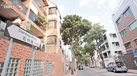 石竹路沿街建有不少「入門級」低密度豪宅。