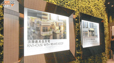逸峯售樓處內仍然展示出部分特色戶及花園等模擬圖片。
