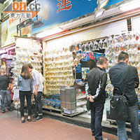 金魚街售賣觀賞魚及水族用品的店舖數目，較高峰期時急跌近五成。（蔡綺琳攝）