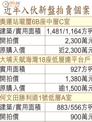 近年入伙新盤拍賣個案