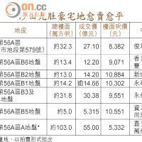 沙田九肚豪宅地愈賣愈平