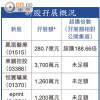 新股孖展概況