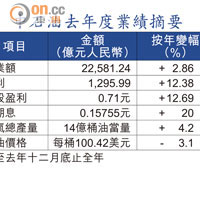 中石油去年度業績摘要