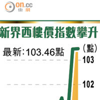 新界西樓價指數攀升