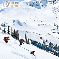 溫哥華鄰近地區擁有世界知名的滑雪場。