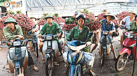 越南經濟穩步增長。
