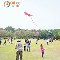 大埔海濱公園是放風箏的熱點。