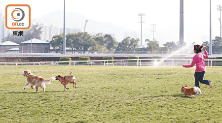 彭福公園