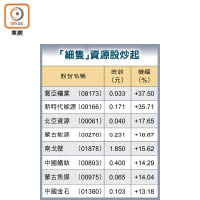 「細隻」資源股炒起